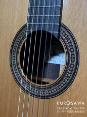 Paco Castillo パコ・カスティージョ Model:240S 7/8 杉・ローズウッド 【日本総本店2F 在庫品】_3