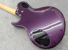FREEDOM CUSTOM GUITAR RESEARCH RRS Bravery-12 Succubus_4