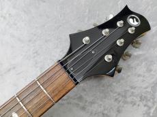 FREEDOM CUSTOM GUITAR RESEARCH RRS Bravery-12 Succubus_7