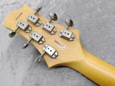 FREEDOM CUSTOM GUITAR RESEARCH RRS Bravery-12 Succubus_9