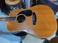 Cat's Eyes CE-600 CF　送料無料