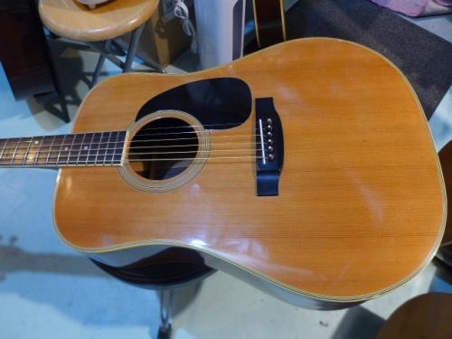 Cat's Eyes CE-600 CF　送料無料