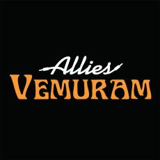 Allies Vemuram Allies Custom Cables and Plugs " BBB-SL-SST/LST-15f "【箱ボロ特価】_3