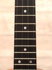 Kanile'a K-1C/DG Concert Deluxe Gloss 【2019年製】【コンサート・デラックス】【送料込】_7