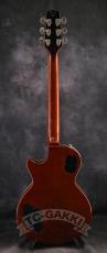 The Heritage H-150_6