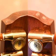 Alvarez by Kazuo Yairi Angel LO 12Strings_5
