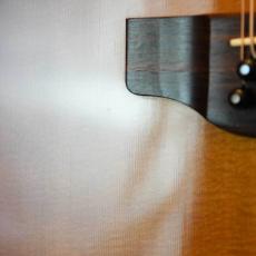 Alvarez by Kazuo Yairi Angel LO 12Strings_7