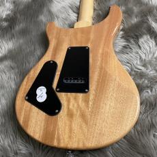 Paul Reed Smith [PRS] SE Custom 24 Quilt Package  - Turquoise【現物画像】【最大36回分割無金利キャンペーン】_5