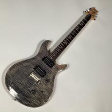 Paul Reed Smith [PRS] SE CUSTOM 24 エレキギター/Charcoal Natural_2