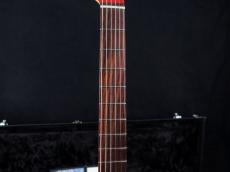 Fender Monster Hunter Rathalos Telecaster Rathalos Red_5
