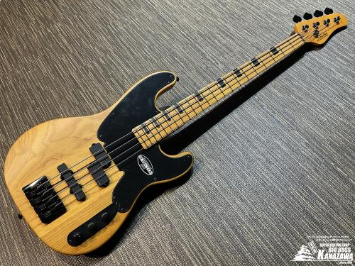 SCHECTER MODEL-T SESSION【希少なTLベース!】