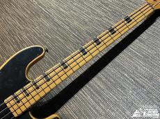 SCHECTER MODEL-T SESSION【希少なTLベース!】_3