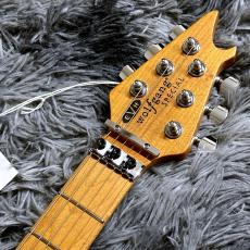 EVH Wolfgang Special QM Baked Maple Fingerboard Indigo Burst【特価】_5
