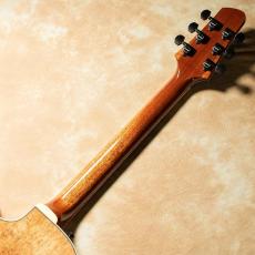 Kikuchi Guitars Archtop MF15L Ltd Exotic Blackwood_6