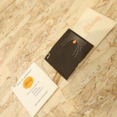 Gibson B-25 DSB 1968_11