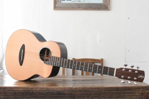 aNueNue Bird Guitar aNN-M60