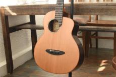 aNueNue Bird Guitar aNN-M60_2