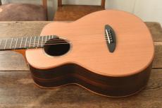 aNueNue Bird Guitar aNN-M60_3