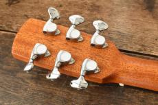 aNueNue Bird Guitar aNN-M60_6