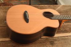 aNueNue Bird Guitar aNN-M60_8