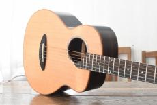 aNueNue Bird Guitar aNN-M60_9