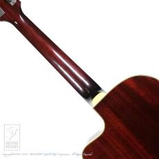 Switch SL-1 Bee (Adirondack Spruce) (Antique Red)_6