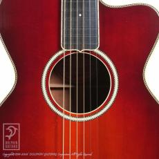 Switch SL-1 Bee (Adirondack Spruce) (Antique Red)_11