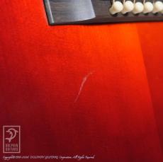 Switch SL-1 Bee (Adirondack Spruce) (Antique Red)_13