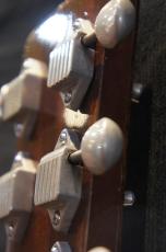 SEAGULL by M.Shiozaki SEAGULL by M.Shiozaki SD-70 #0103 1984年製 (Sitka Spruce / Honduras Rosewood)_8