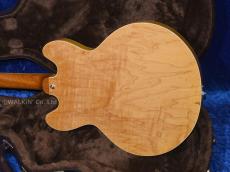 Archtop Tribute AT130_3