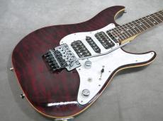 SCHECTER SD-2-24-BW　RED_2
