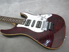 SCHECTER SD-2-24-BW　RED_3