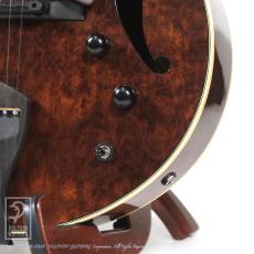 Kikuchi Guitars JF15 2HB Imbuia Burl_10