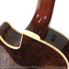 Kikuchi Guitars JF15 2HB Imbuia Burl_13