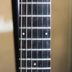 Ampeg Dan Armstrong Lucite Guitar_10