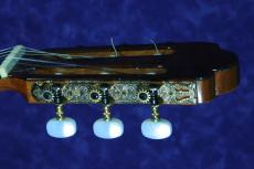 石井栄 エレアコ　杉/ローズウッド　カッタウェイ有り　1991年_5