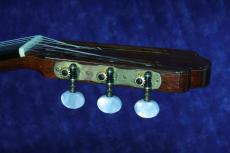 石井栄 APR　エレアコ　杉/インディアンローズウッド　1999年_5