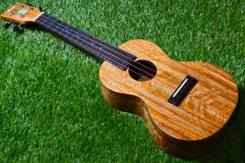 Uma ukulele UMGO-C Concert #1