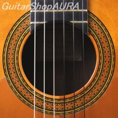 Lorenzo Alvarez　[ロレンソ・アルバレス] Flamenco Negra_4