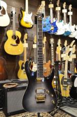 Edwards E-HORIZON-CTM 50TH Ash Black Burst/C_2