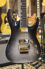 Edwards E-HORIZON-CTM 50TH Ash Black Burst/C_3