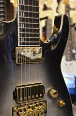 Edwards E-HORIZON-CTM 50TH Ash Black Burst/C_7