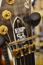 Edwards E-HORIZON-CTM 50TH Ash Black Burst/C_10