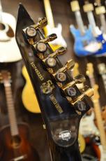 Edwards E-HORIZON-CTM 50TH Ash Black Burst/C_11