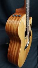 Taylor Taylor 314ce Studio_9