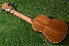 DCT DUS-150K Soprano_3