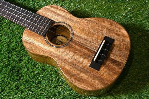 DCT KOKOMO-5 Soprano