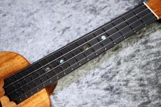 KoAloha KCM-10/UPT Pikake 【コンサート】【現物写真】【池袋店在庫品】_9