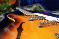 Epiphone Casino E-230T_2
