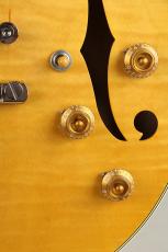 Rozeo Ladybug-CB CM HB/SS Vintage Amber_4